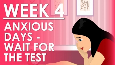 The Pregnancy week 4 - Waiting for the test