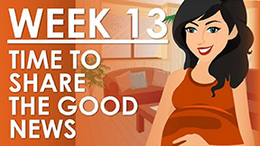 The Pregnancy - Week 13