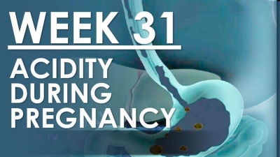 The Pregnancy - Week 31