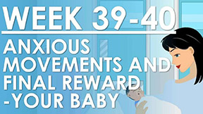 The Pregnancy - Week 39-40