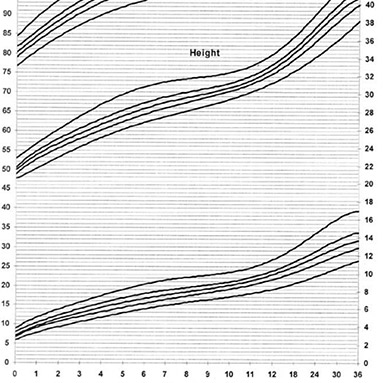 Baby weight and height during the first year