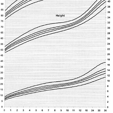 Baby weight and height during the first year