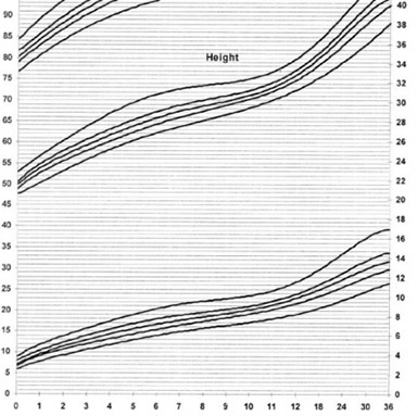 Baby weight and height during the first year