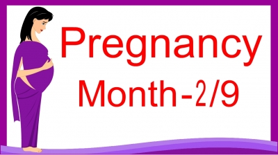 2. Know more about your baby and how you feel this month