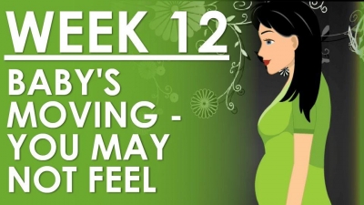 The Pregnancy - Week 12