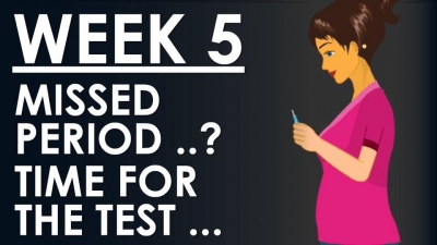 The Pregnancy week 5 - Time for the pregnancy test